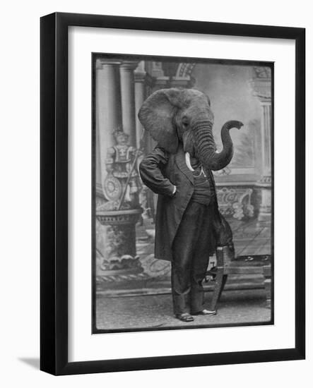 Hortence J Pacadorf-Grand Ole Bestiary-Framed Art Print