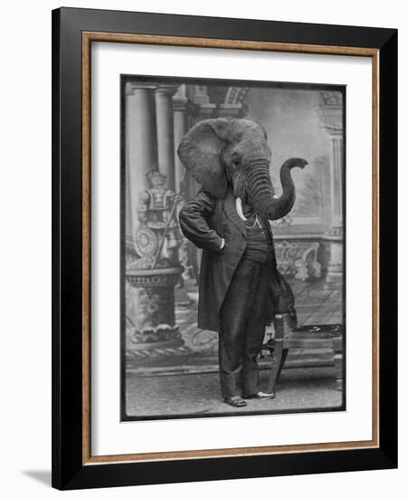 Hortence J Pacadorf-Grand Ole Bestiary-Framed Art Print