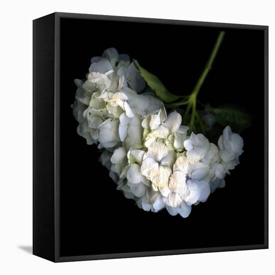 Hortenses Heart-Magda Indigo-Framed Premier Image Canvas