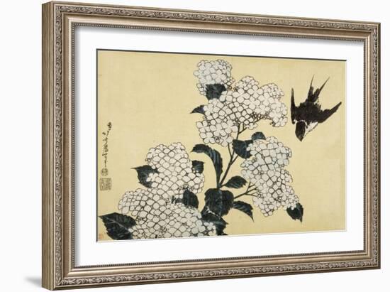 Hortensia et hirondelle-Katsushika Hokusai-Framed Giclee Print