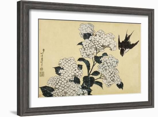 Hortensia et hirondelle-Katsushika Hokusai-Framed Giclee Print