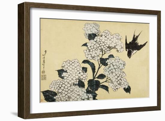 Hortensia et hirondelle-Katsushika Hokusai-Framed Giclee Print