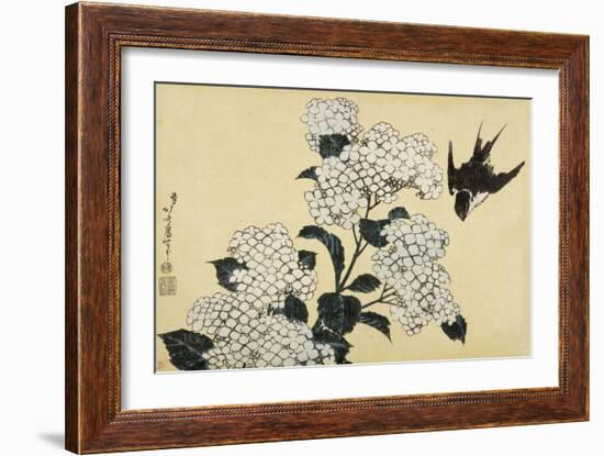 Hortensia et hirondelle-Katsushika Hokusai-Framed Giclee Print