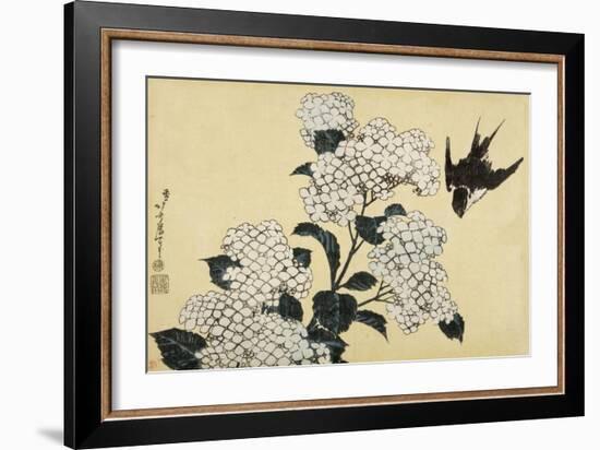 Hortensia et hirondelle-Katsushika Hokusai-Framed Giclee Print