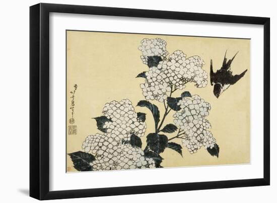 Hortensia et hirondelle-Katsushika Hokusai-Framed Giclee Print