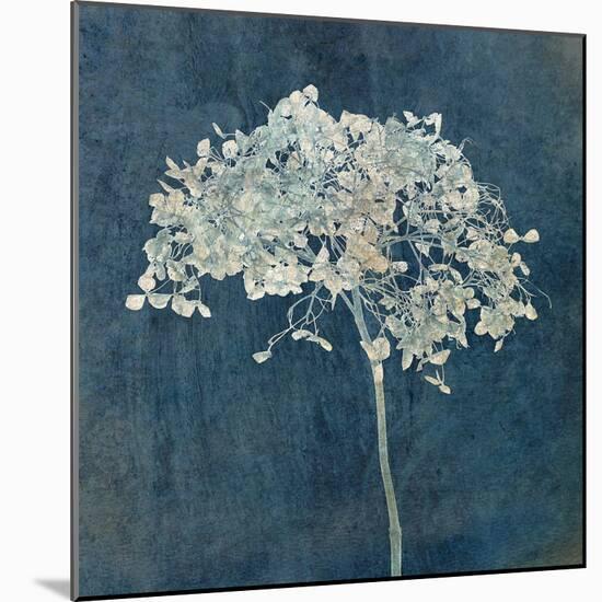 Hortensia Silhouette Sapphire-Cora Niele-Mounted Photographic Print