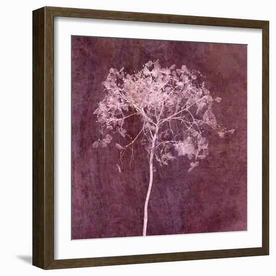 Hortensia Silhouette Wine Red-Cora Niele-Framed Photographic Print