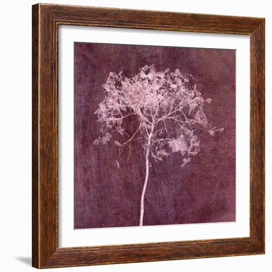 Hortensia Silhouette Wine Red-Cora Niele-Framed Photographic Print