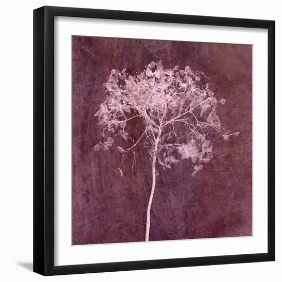 Hortensia Silhouette Wine Red-Cora Niele-Framed Photographic Print