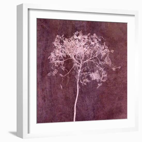 Hortensia Silhouette Wine Red-Cora Niele-Framed Photographic Print