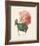 Hortensia-Pierre-Joseph Redouté-Framed Giclee Print