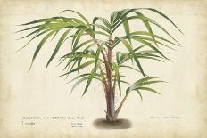 Palm of the Tropics I-Horto Van Houtteano-Art Print