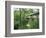 Horton Mill Covered Bridge, Alabama, USA-William Sutton-Framed Photographic Print