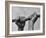 Hose Was Twisted over and over to Toughen Hands For Preparations For Life-Loomis Dean-Framed Photographic Print