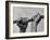 Hose Was Twisted over and over to Toughen Hands For Preparations For Life-Loomis Dean-Framed Photographic Print