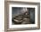 Hospital Stairs-kre_geg-Framed Photographic Print