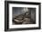 Hospital Stairs-kre_geg-Framed Photographic Print