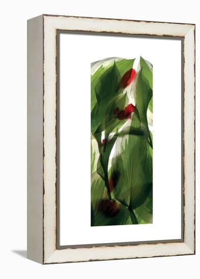 Hosta Begonia Window-Julia McLemore-Framed Stretched Canvas