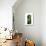 Hosta Begonia Window-Julia McLemore-Premium Giclee Print displayed on a wall