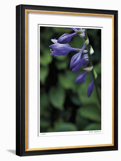 Hosta Flower Detail-Stacy Bass-Framed Giclee Print