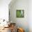 Hosta Leaf Closeup-Anna Miller-Framed Premier Image Canvas displayed on a wall