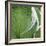 Hosta Leaf Closeup-Anna Miller-Framed Photographic Print