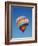 Hot Air Balloon, Albuquerque Balloon Fiesta, Albuquerque, New Mexico, USA-Steve Vidler-Framed Photographic Print