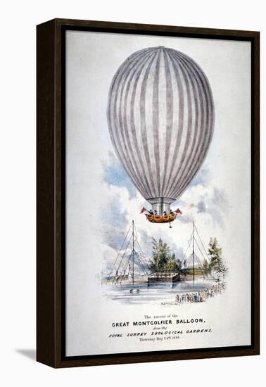 Hot Air Balloon Ascending over Surrey Zoological Gardens, Southwark, London, 1838-H Harrison-Framed Premier Image Canvas