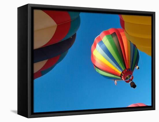 Hot Air Balloon at the Tigard Festival of Balloons in Cook Park, Portland, Oregon, USA-Janis Miglavs-Framed Premier Image Canvas