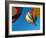 Hot Air Balloon at the Tigard Festival of Balloons in Cook Park, Portland, Oregon, USA-Janis Miglavs-Framed Photographic Print
