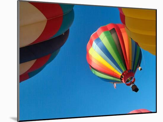 Hot Air Balloon at the Tigard Festival of Balloons in Cook Park, Portland, Oregon, USA-Janis Miglavs-Mounted Photographic Print