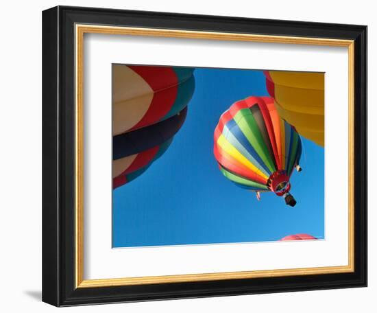 Hot Air Balloon at the Tigard Festival of Balloons in Cook Park, Portland, Oregon, USA-Janis Miglavs-Framed Photographic Print