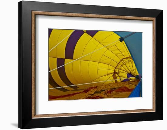 Hot Air Balloon, Ballooning, Sedona, Coconino NF, Arizona, USA-Michel Hersen-Framed Photographic Print