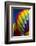 Hot Air Balloon Closeup, Albuquerque, New Mexico, USA-Maresa Pryor-Framed Photographic Print