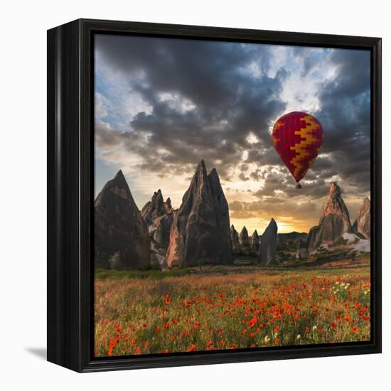 Hot Air Balloon Flying over Red Poppies Field Cappadocia Region, Turkey-Tetyana Kochneva-Framed Premier Image Canvas