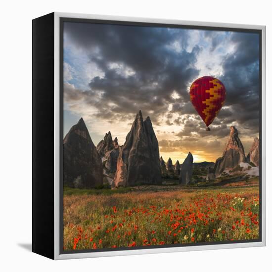 Hot Air Balloon Flying over Red Poppies Field Cappadocia Region, Turkey-Tetyana Kochneva-Framed Premier Image Canvas