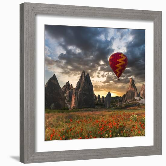 Hot Air Balloon Flying over Red Poppies Field Cappadocia Region, Turkey-Tetyana Kochneva-Framed Photographic Print