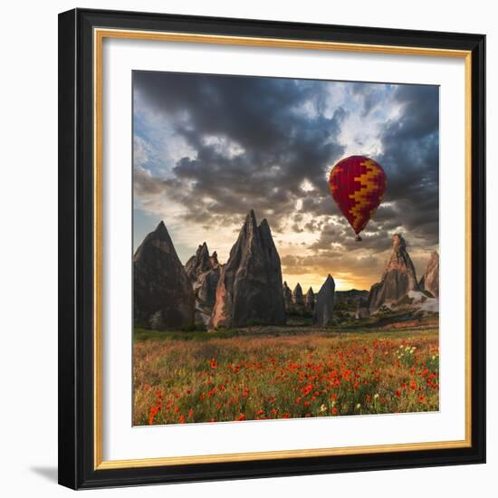 Hot Air Balloon Flying over Red Poppies Field Cappadocia Region, Turkey-Tetyana Kochneva-Framed Photographic Print