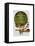 Hot Air Balloon Green-Fab Funky-Framed Stretched Canvas