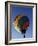 Hot Air Balloon in Flight-Paul Sutton-Framed Photographic Print