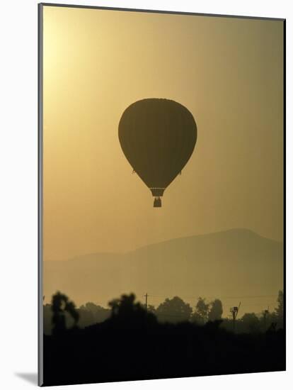 Hot Air Balloon Over Napa Valley at Sunrise, Oregon, USA-Janis Miglavs-Mounted Photographic Print