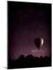 Hot Air Balloon-David Ridley-Mounted Photographic Print
