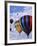 Hot Air Ballooning, Albuquerque, New Mexico, USA-Paul Sutton-Framed Photographic Print