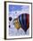 Hot Air Ballooning, Albuquerque, New Mexico, USA-Paul Sutton-Framed Photographic Print