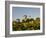 Hot Air Ballooning over Fields of Sunflowers in the Early Morning, Charente, France, Europe-Groenendijk Peter-Framed Photographic Print