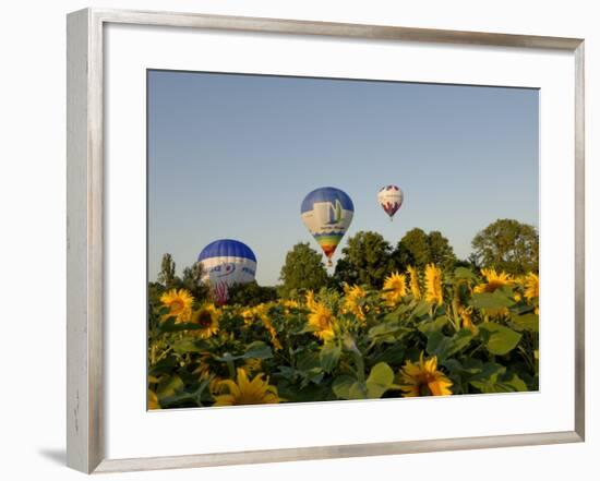 Hot Air Ballooning over Fields of Sunflowers in the Early Morning, Charente, France, Europe-Groenendijk Peter-Framed Photographic Print
