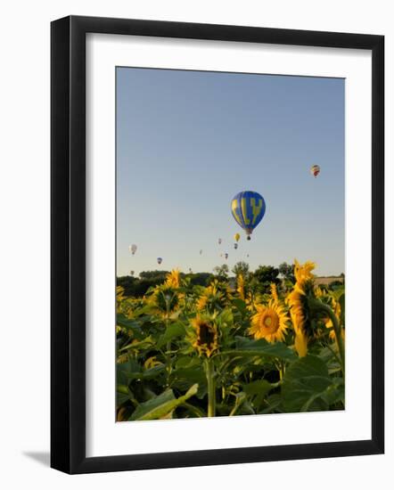 Hot Air Ballooning over Fields of Sunflowers in the Early Morning, Charente, France, Europe-Groenendijk Peter-Framed Photographic Print