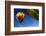 Hot Air Balloons, Albuquerque Balloon Fiesta, New Mexico, USA-Maresa Pryor-Framed Photographic Print