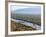 Hot Air Balloons, Albuquerque, New Mexico, USA-Michael Snell-Framed Photographic Print