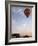 Hot Air Balloons Carry Tourists on Early Morning Flights over the Valley of the Kings, Luxor, Egypt-Mcconnell Andrew-Framed Photographic Print